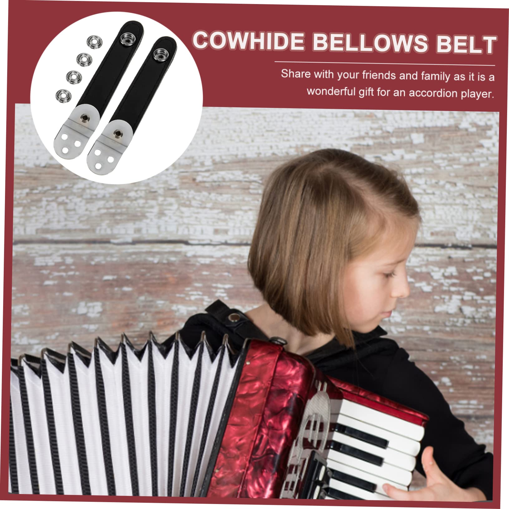 5sets Cinghie Regolabili Per Fisarmonica Con Fibbia Da Accessori Per Strumento Musicale Comode e Resistenti