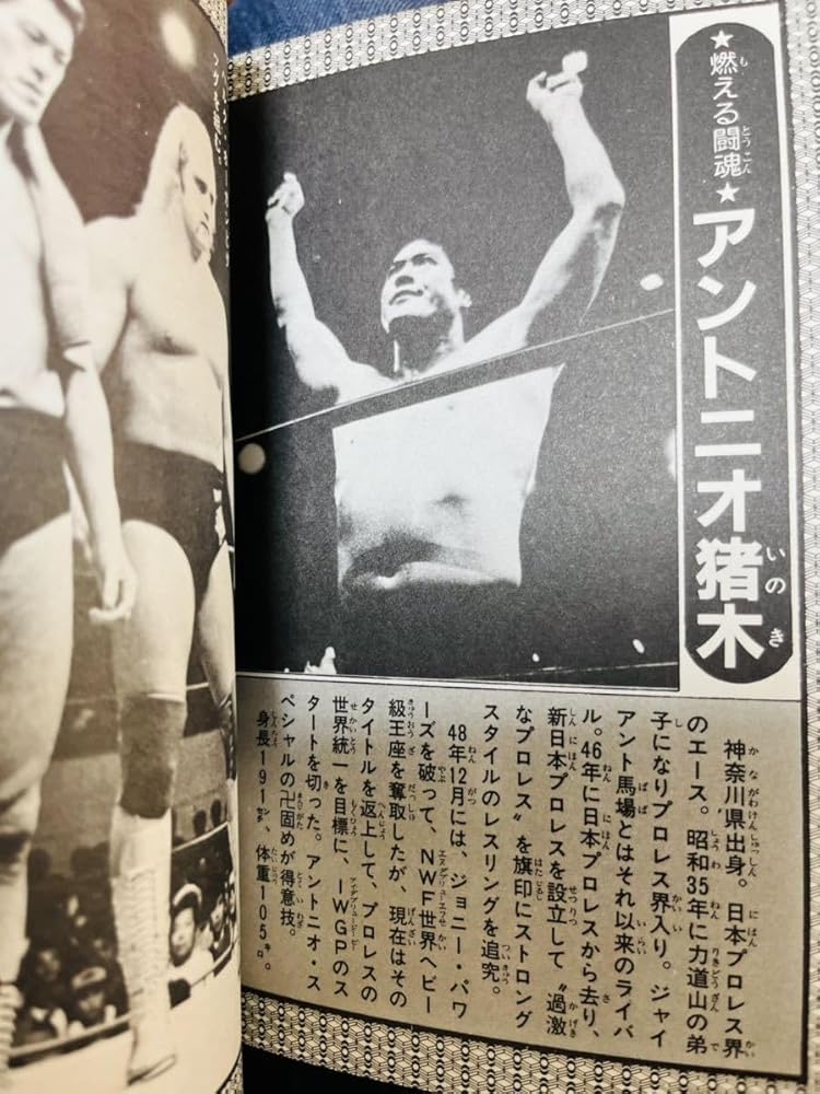 タイガーマスク大全科 初版本 Yahoo!オークション - 【初版本 タイガー