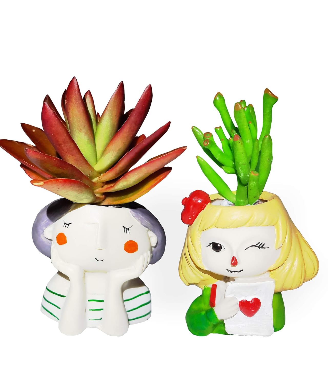 MVM Combo Live Succulent Plants Set Of 2 With Cute Girls