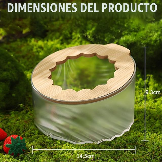 Foto 2 de 7 de Behogan Cuarto de baño para hámster transparente, contenedor de arena para hámster con escalera y pala