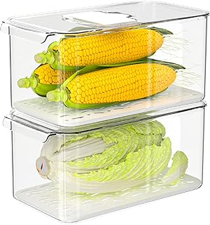 Large Lettuce Keeper Crisper, Vegetable Salad Storage Containers for Fri...