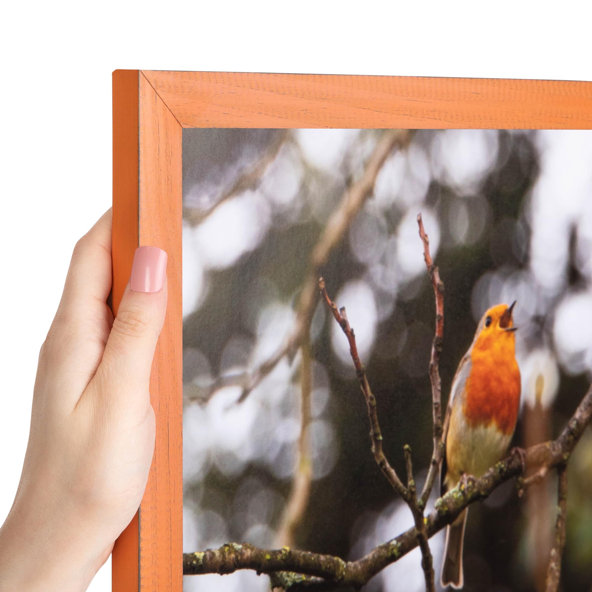 Amazon.co.jp: ArtToFrames 12 x 30インチ レッドピクチャーフレーム