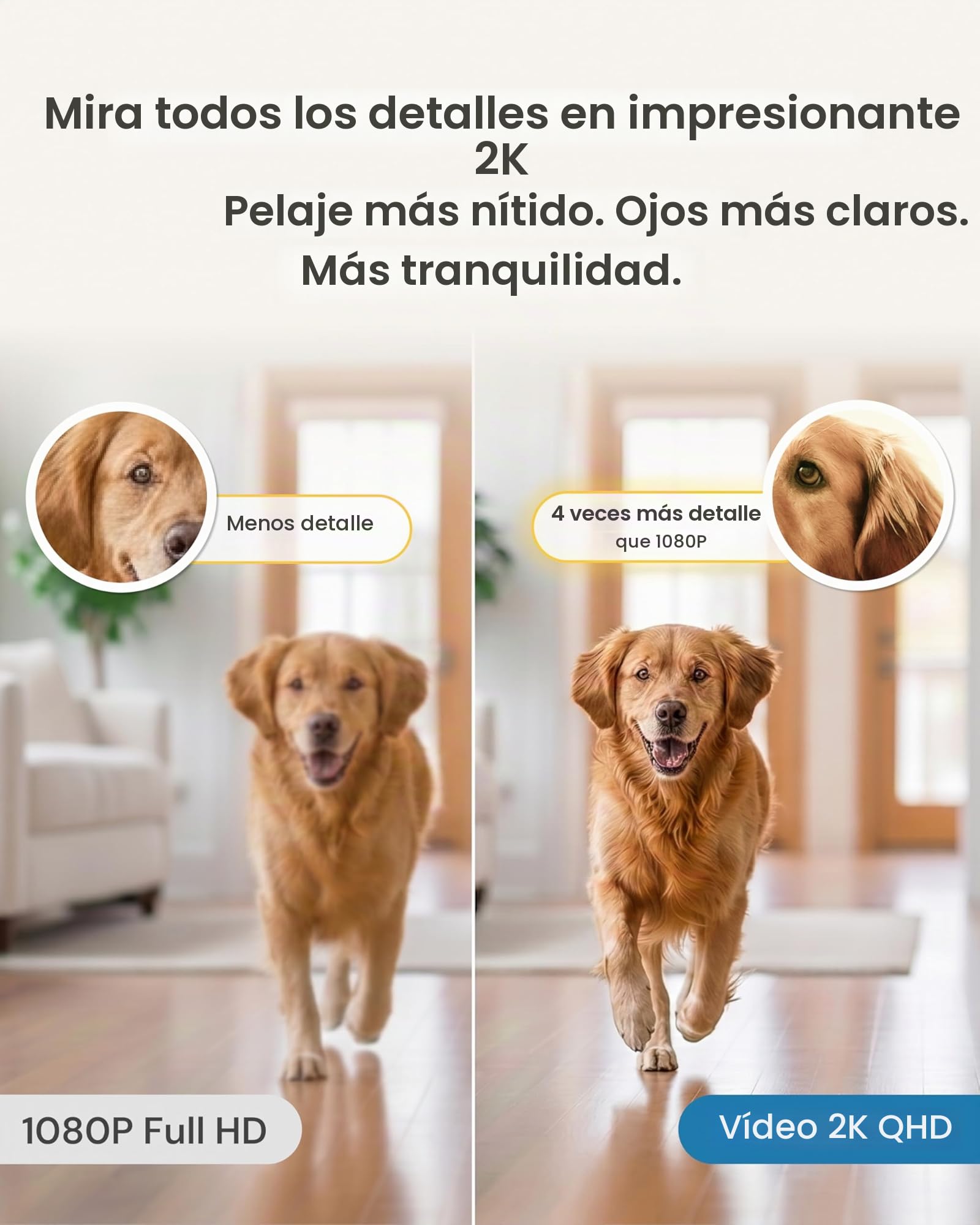 Furbo Mini cámara de 360º para mascotas, desbloquea la cámara inteligente y las funciones inteligentes con plan de pago: seguridad para el hogar y alertas de seguridad para perros y gatos, dispensador