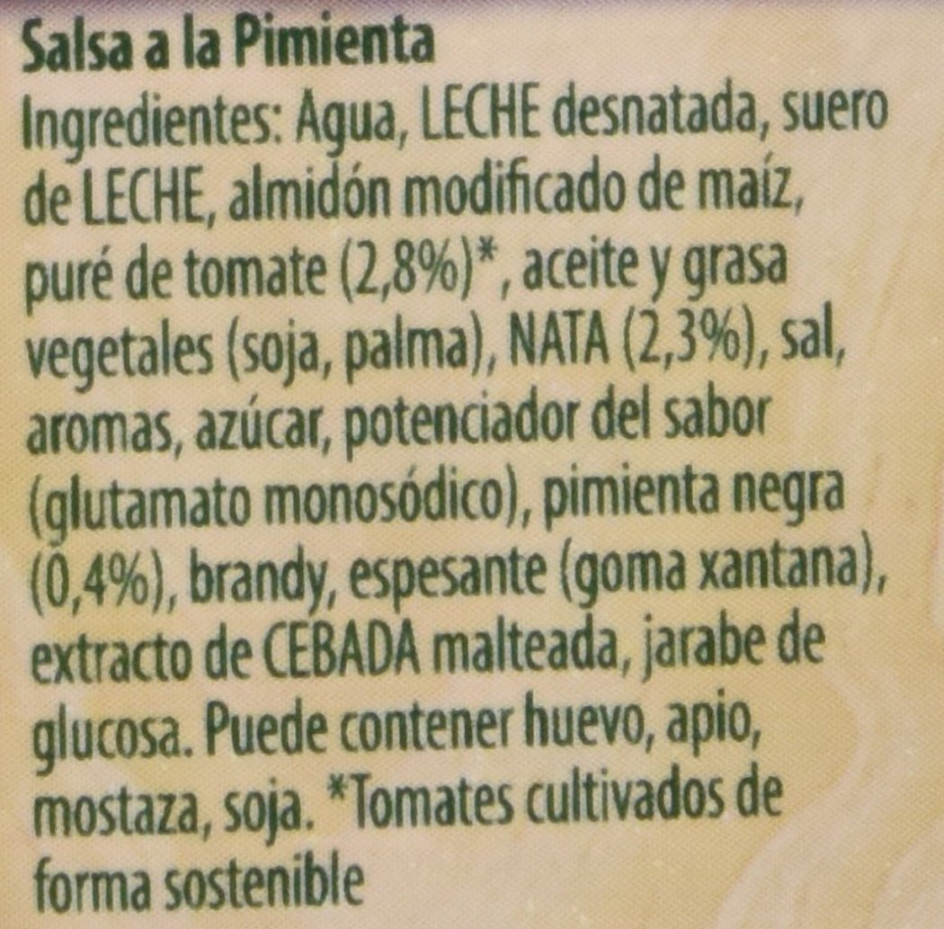 Knorr - Salsa Brick A La Pimienta, 300 ml - [Pack de 2]