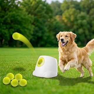 ALL FOR PAWS Lanzador automático de pelotas para perros, lanzador interactivo de pelotas de tenis al aire libre para perros medianos a grandes, juguete recargable para perros, 6 pelotas incluidas