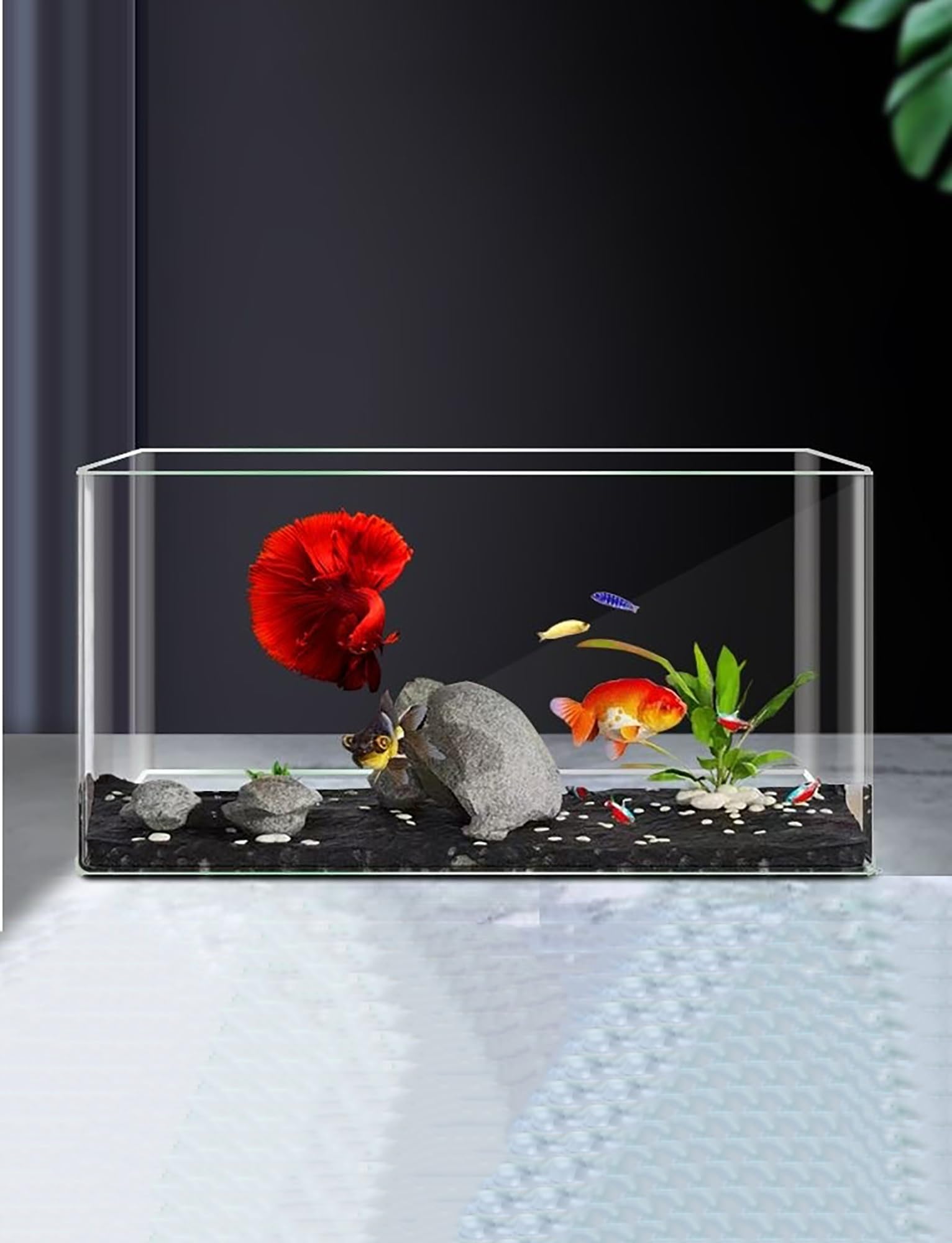 Ultra-Clear Acrylic High-Transparency Fish Tank Small Aquarium Transparent Aquarium Self-Cleaning Desktop Fish Tank Suitable for Home Decoration(Medium) : Electronics