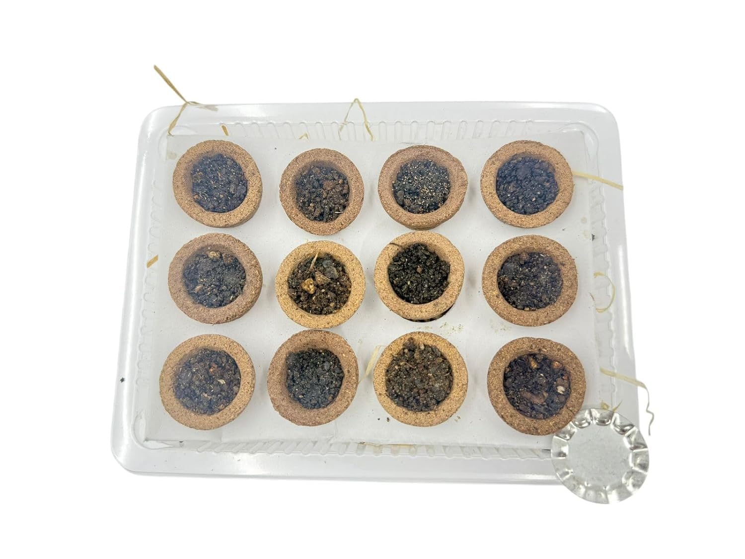 Store Sambrani Dhoop Cups for Navratri Durga Pooja Havan | Fragrant Dhuni Cups for Prayer Rituals Meditation Temple Use | Sambrani Aroma Cups Pack of 12 Pieces-image-48