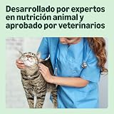 Ver la foto 3