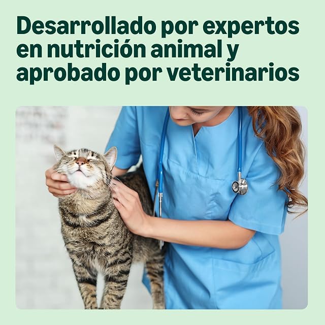 Foto 3 de 8 de by Amazon - Alimento seco completo para gatos adultos con salm√≥n, at√∫n y verduras, 1 Pack de 3 kg