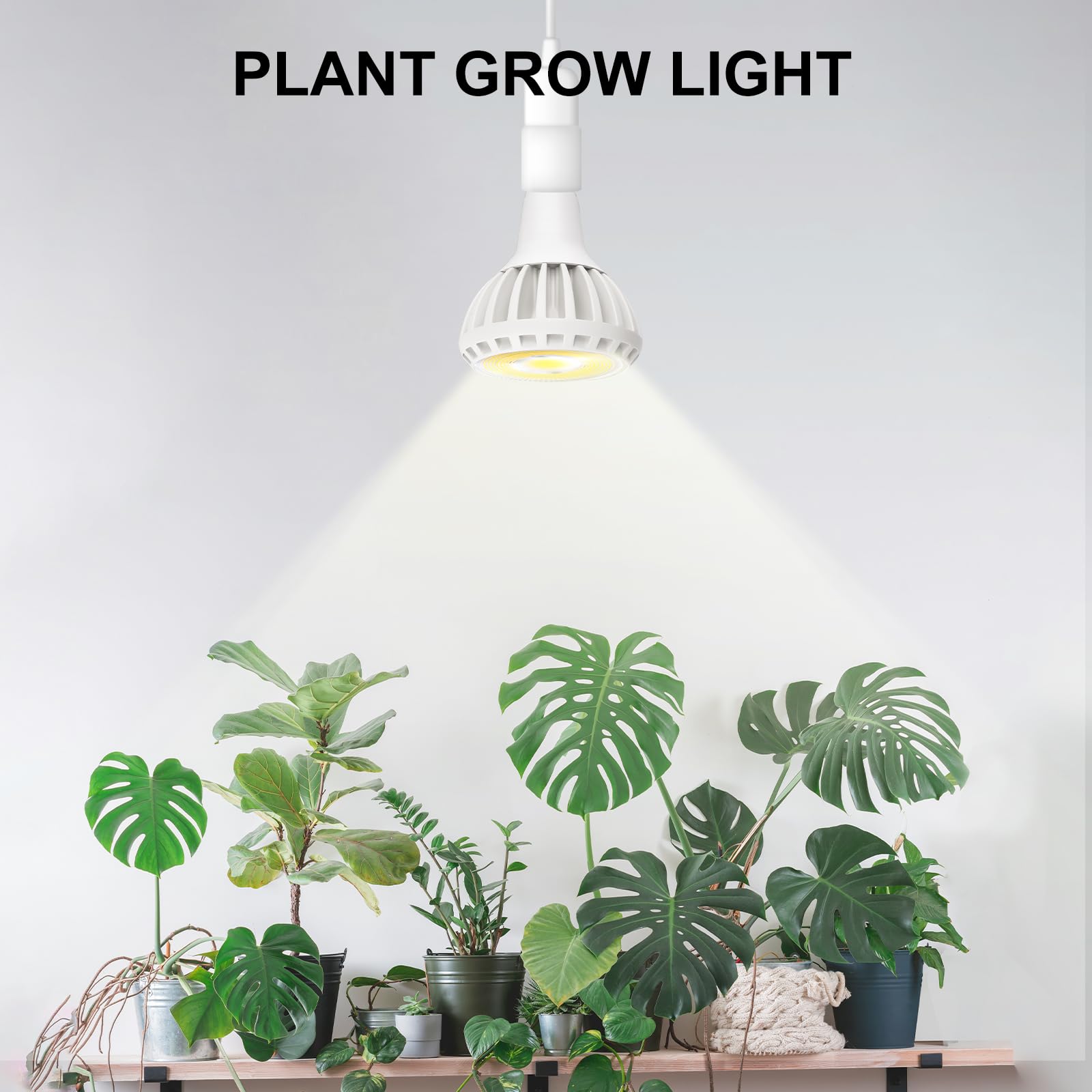 ZENITHTOP 20W Full Spectrum LED Grow Light for Indoor Plants,Plant Grow Bulb for Indoor Plants Seeding Succulents Cactus,Germination of Seedlings Plant Lights E27 4000k - Image 2