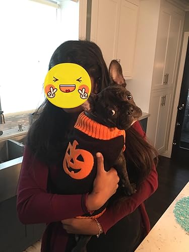 Miniatura 4 de Suéteres de Halloween para perros, ropa fantasmal de calabaza para perros y gatos