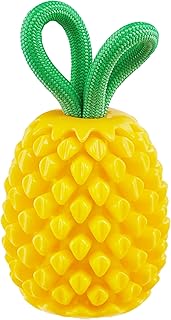 Outward Hound Planet Dog Dental Pineapple Dental Chew Toy and Interactive Treat Stuffer Durable Dog Toy Stuffable Dog Toy, Yellow product image