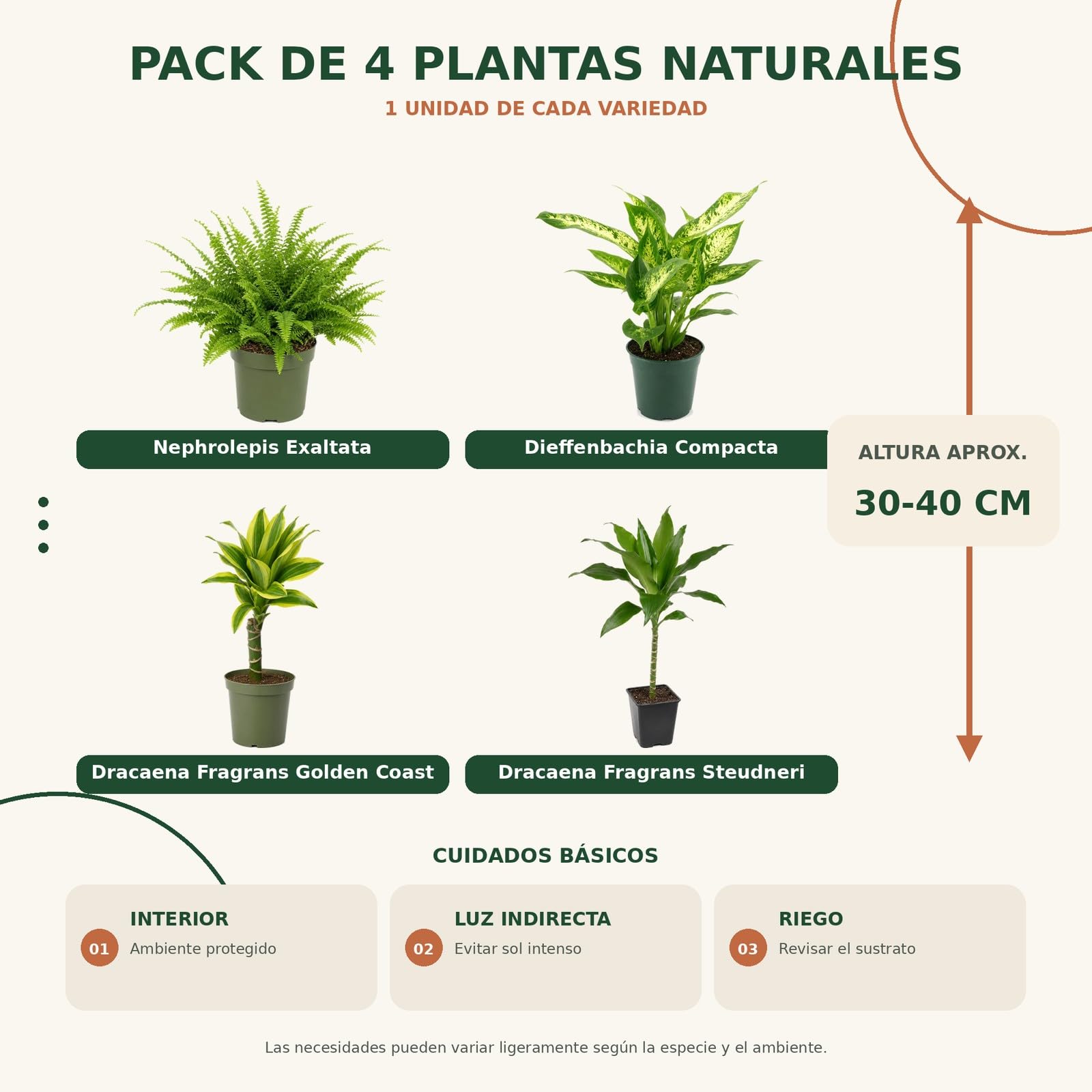 Pack 4 Plantas: Colección para Principiantes - Hogares Modernos DECOALIVE