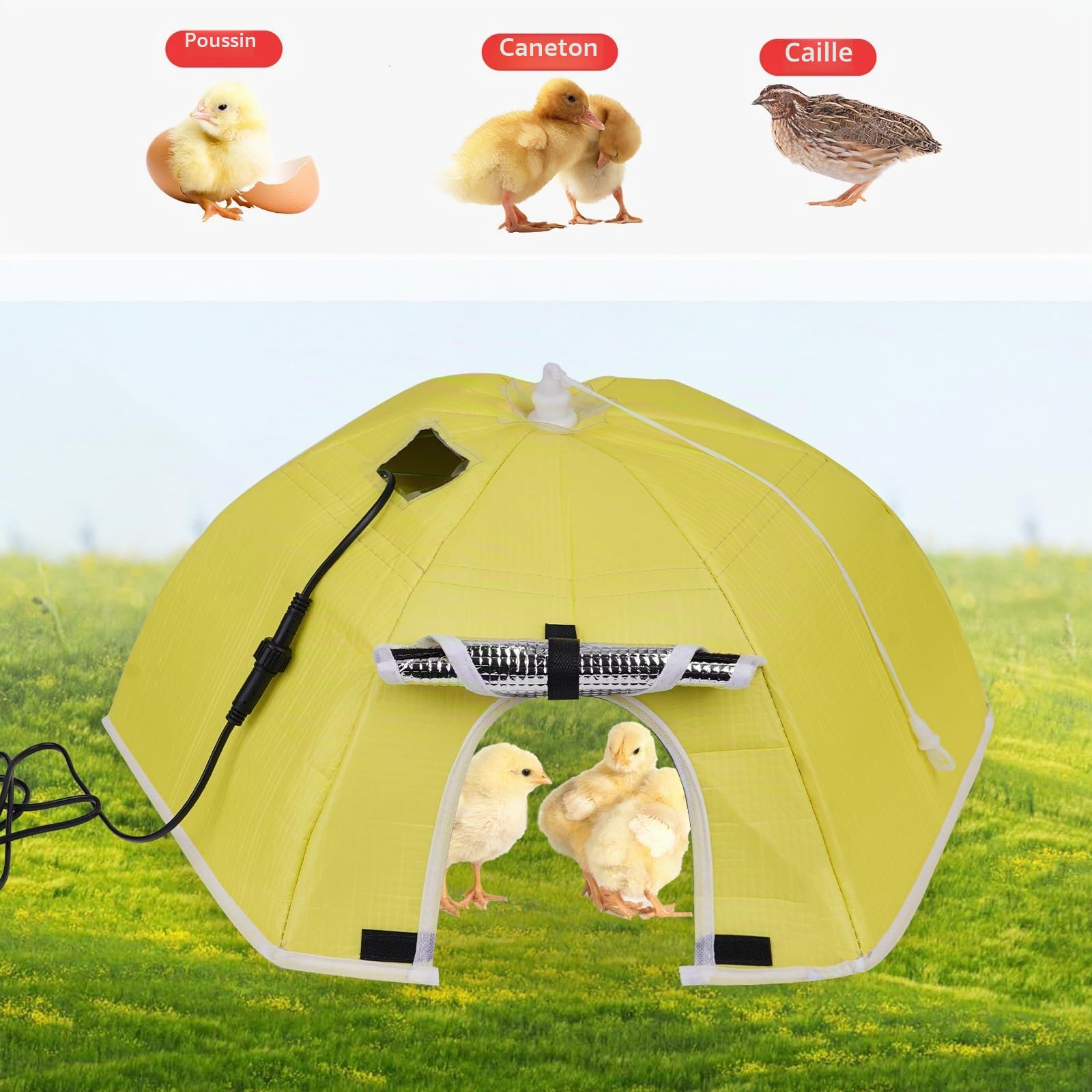 Poulailler Chauffage 80W Chaleur Poulets 80℃ Éleveur de Poussins Tente de Chauffage Pliable pour Poulailler Incubateur Automatique pour Poulets Volailles Tente de Chauffage Pliable pour
