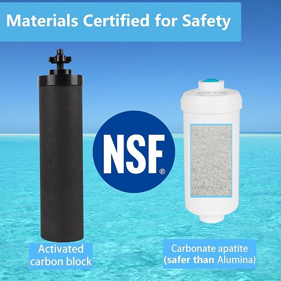 Gravity Water Filter Replacement,for Berkey® Black Carbon (BB9-2®) Purification Elements and Fluoride Filters K5366 (PF-2®) Combo Pack,Compatible with Berkey® Filtration System,Pack of 4 | Compatible with Travel,Big,Royal Gravity Water Filter Filtration System,Removes Chlorine,Fluoride Elements,Pack of 4