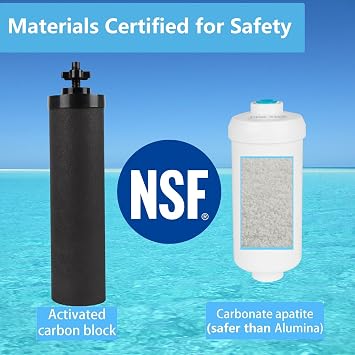 Gravity Water Filter Replacement,for Berkey® Black Carbon (BB9-2®) Purification Elements and Fluoride Filters K5366 (PF-2®) Combo Pack,Compatible with Berkey® Filtration System,Pack of 4 | Compatible with Travel,Big,Royal Gravity Water Filter Filtration System,Removes Chlorine,Fluoride Elements,Pack of 4