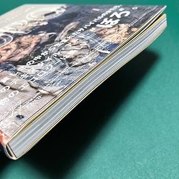 【希少本】Boro : つぎ、はぎ、いかす。青森のぼろ布文化 BORO―つぎ、はぎ、いかす。青森のぼろ布文化