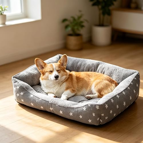 PETCUTE Cesta para Perro cómoda, Lavable, cojín para Perros y Gatos, Lavable a máquina