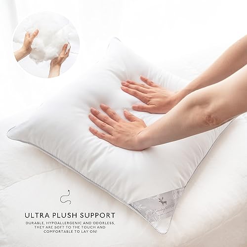 Miniatura 5 de MONDAY MOOSE Fundas de almohada decorativas de 20 x 20 pulgadas y rellenos de almohada de 20 x 20 pulgadas, mezcla y combina para la decoración del