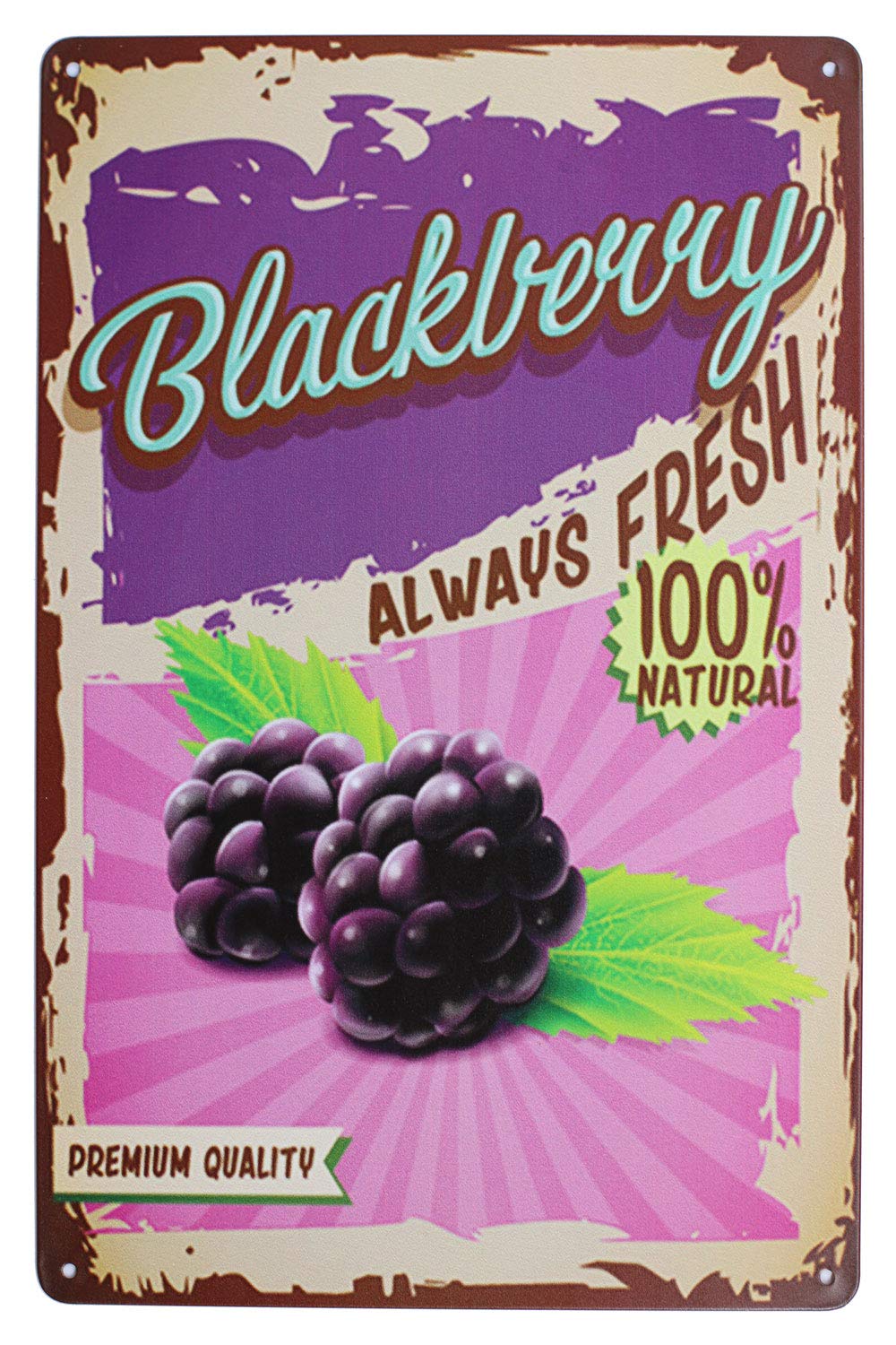 Fresh Fruit Vintage Tin Metal Sign Home Wall Plaque Decor (Blackberry)