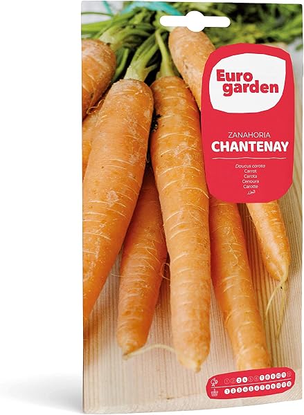 Eurogarden - Semillas Hortícolas. Pimiento piquillo - 5