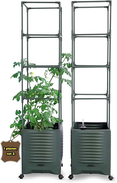 12 Garden Wall Trellis Ideas for Vertical Flower Displays 47 Raised Garden Bed Tomato Planter Trellis for Garden Planter for Tomato P...