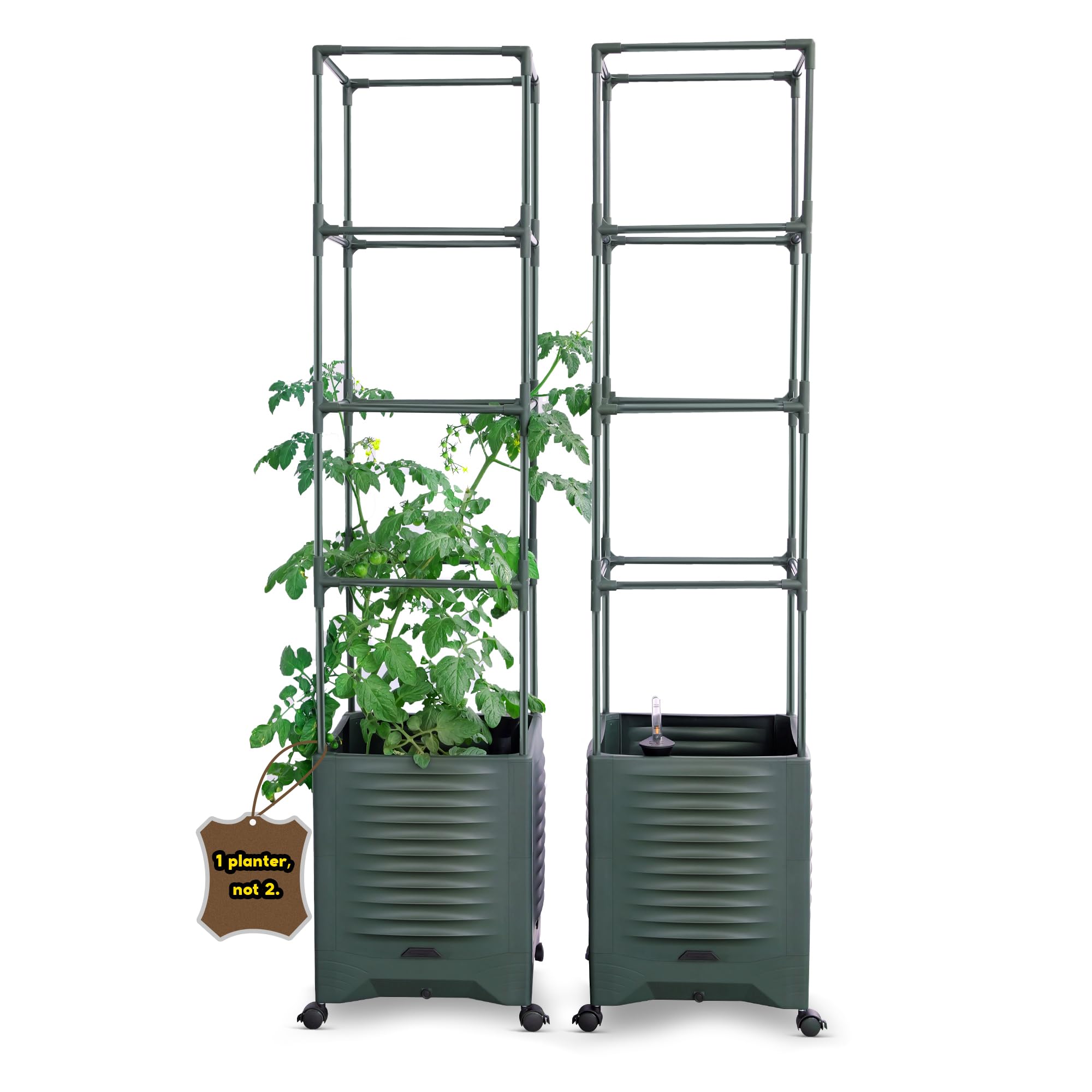 55 Self Watering Metal Trellis Planter