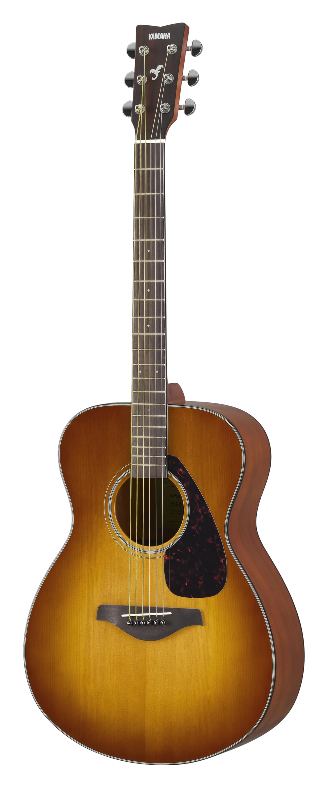 Yamaha FS800J SDB Compact Body (Concert Style) Solid Top Acoustic