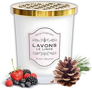 LAVONS Room & Home Fragrance; Air Freshener, Odor Elimintator, Deodorizer for Home, Room, Bathroom & Office, Long-lasting & Made in Japan, 5.3 Oz, French Macaron (Citrus & Amber)