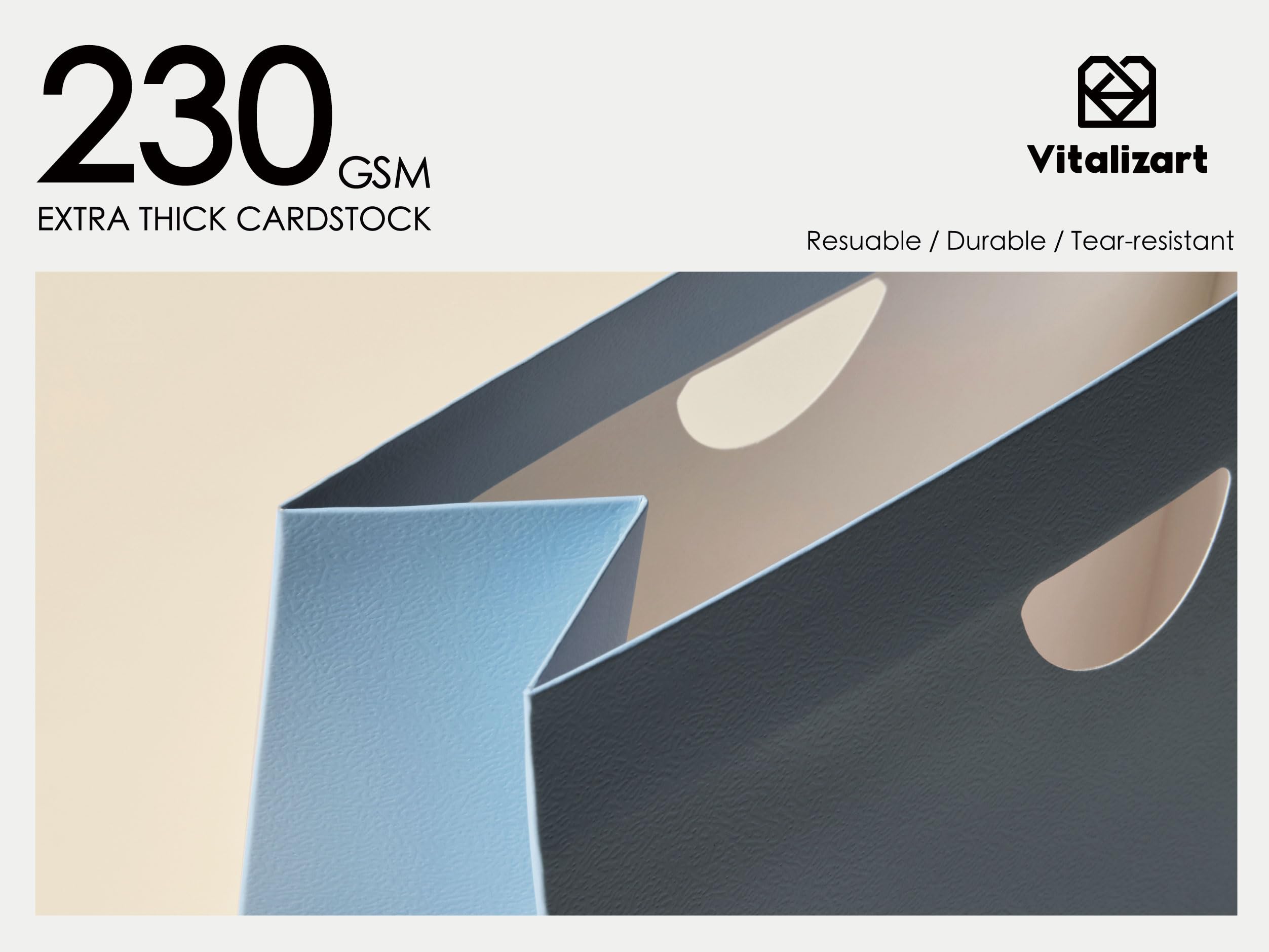 Vitalizart 10 Colori 30 Pcs Mini Buste Regalo con manici nastro