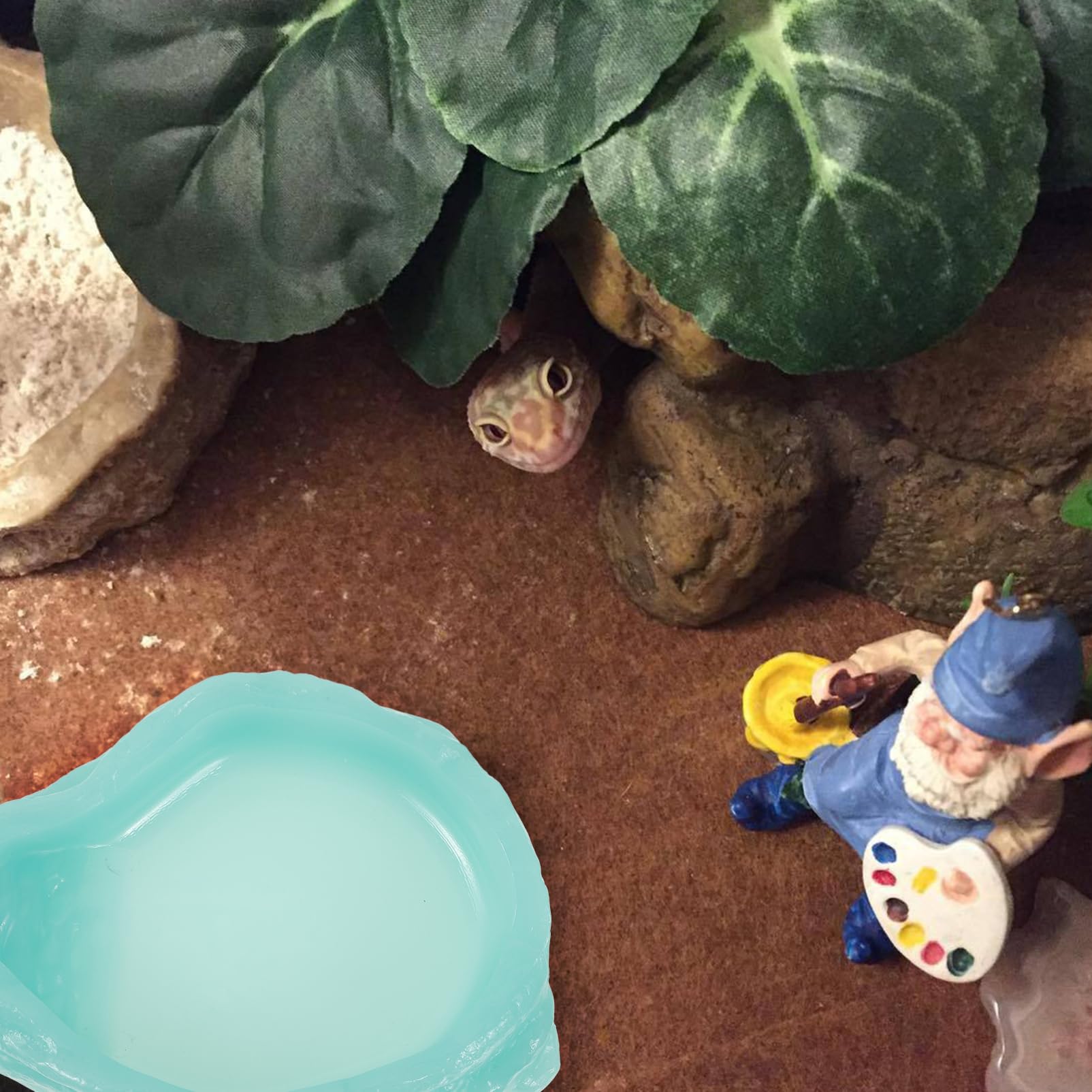Abaodam Plato De Alimentación para Reptiles Luminiscente Comedero De para Tortugas y De Limpiar y Antideslizante para Pequeñas