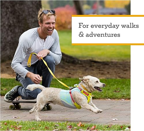 Miniatura 2 de Ruffwear, Hi & Light, arnés ligero para perro diario, correr, caminar, senderismo, uso durante todo el día
