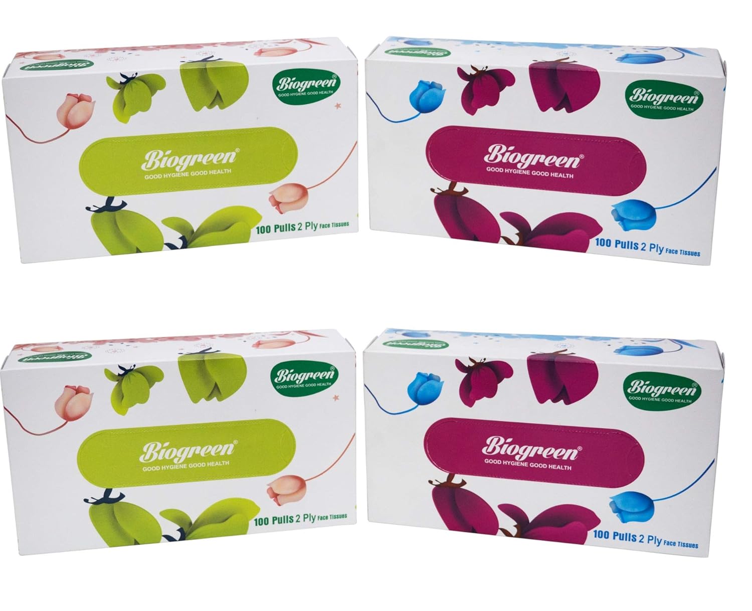 Biogreen Soft Facial/Face Tissues, 2ply, 100 Pulls, Pack of 4 (Premium