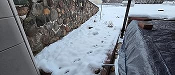 Review Image by Anthony Q Anthony Q