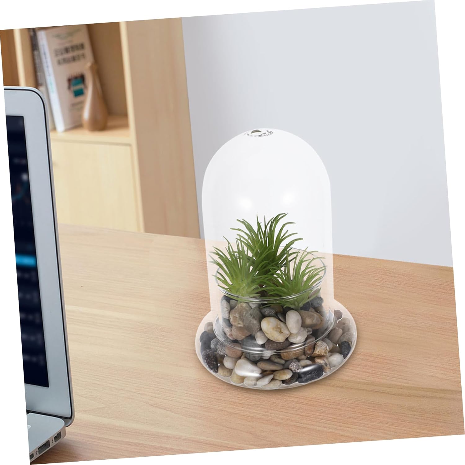 BESPORTBLE 2pcs Ecological Glass Bottle Terrarium for DIY Micro Landscape Miniature Plant Container Home Office Decoration Handmade