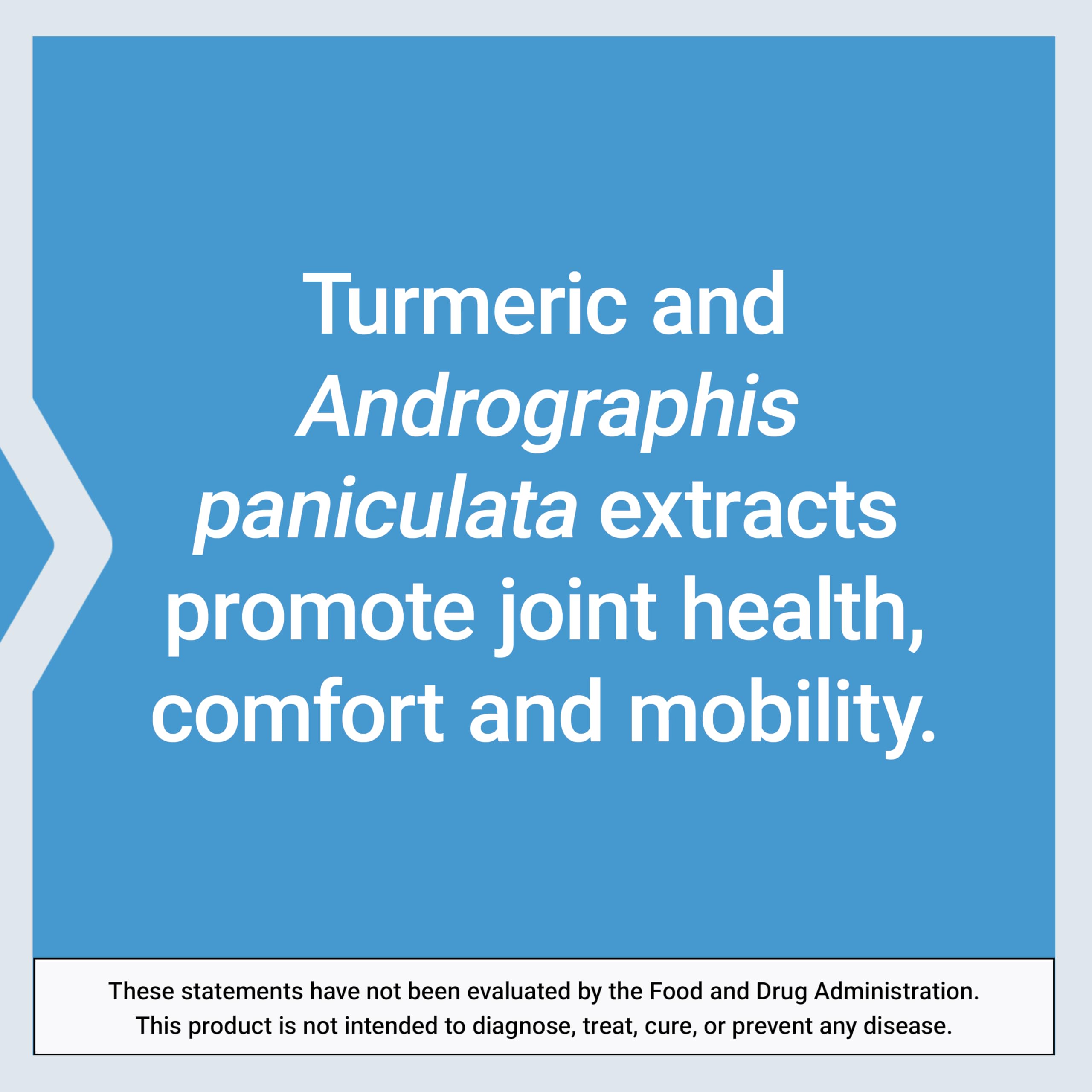 Life Extension Arthro-Immune Joint Support, 60 Vegetarian Capsules
