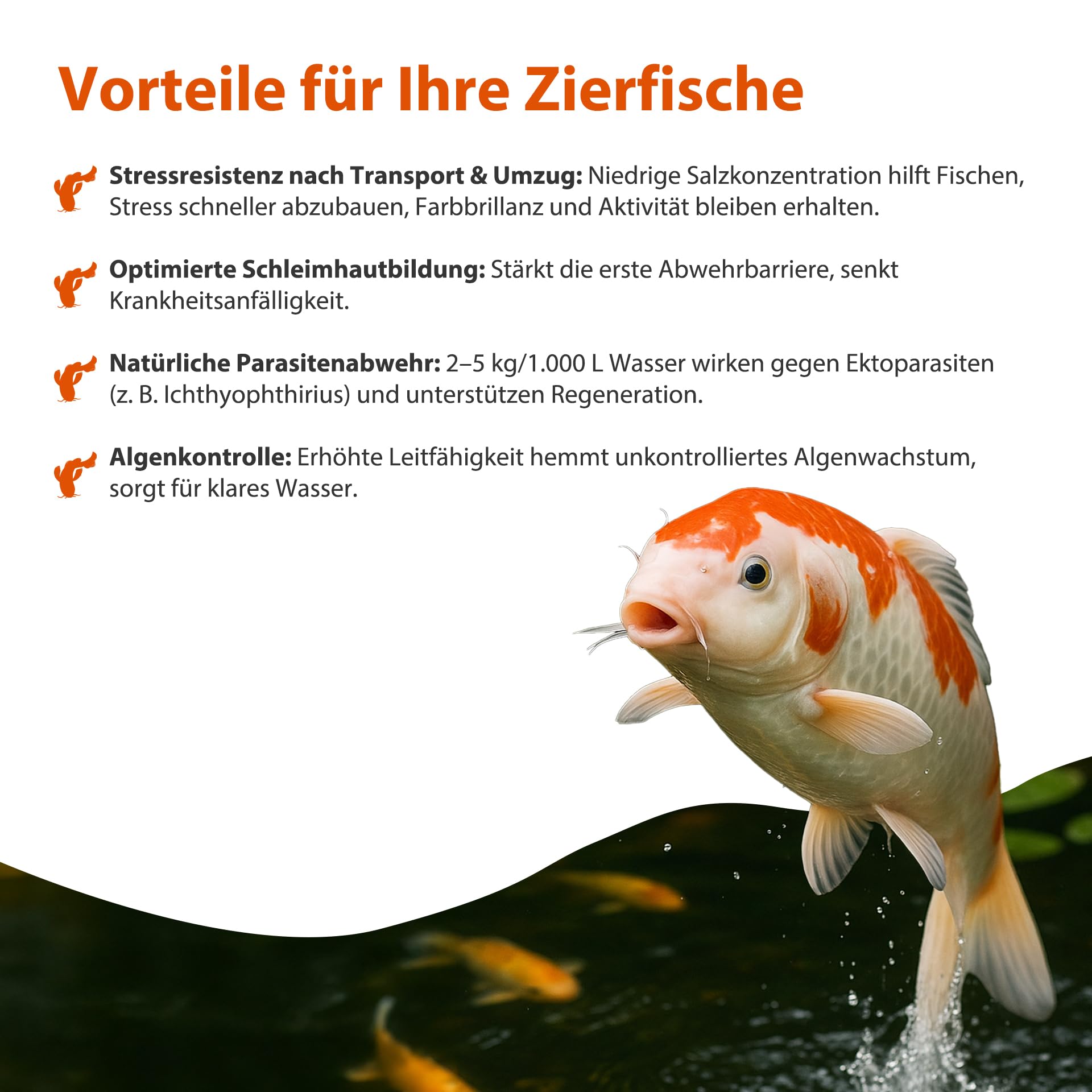 K+S Esco Teichsalz 12,5kg - 50kg | Für Zierfische und Kois | Ohne chemische Zusätze | Unterstützt Gesundheit | Bekämpft Algen | 50kg für 10000l