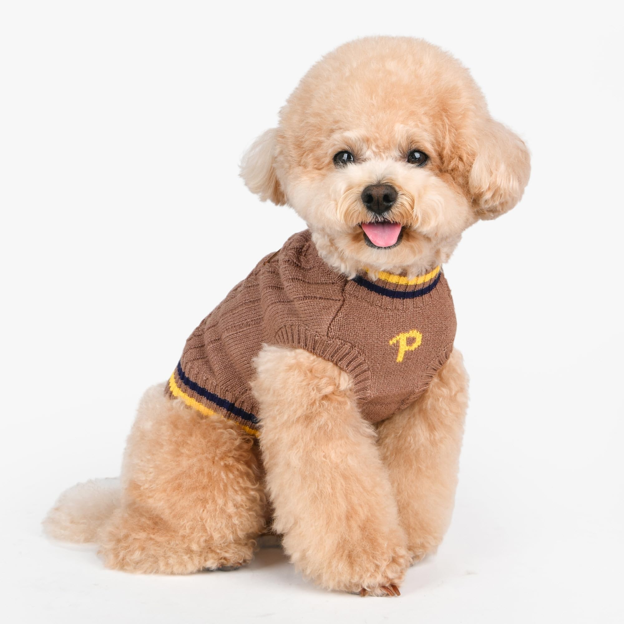 Puppia JOISE – Chandail en tricot pour chien, saison d'hiver pour chiens de petite et moyenne taille, marron, taille M