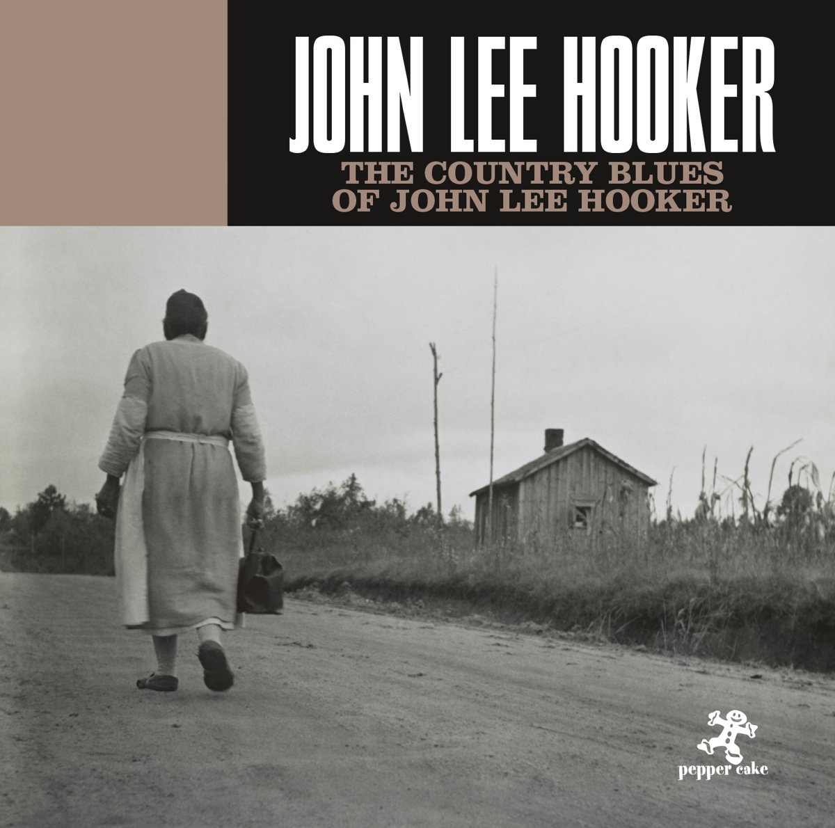 The Country Blues Of John Lee Hooker