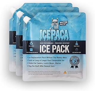 Ice Reusable Ice Pack 3-Pack