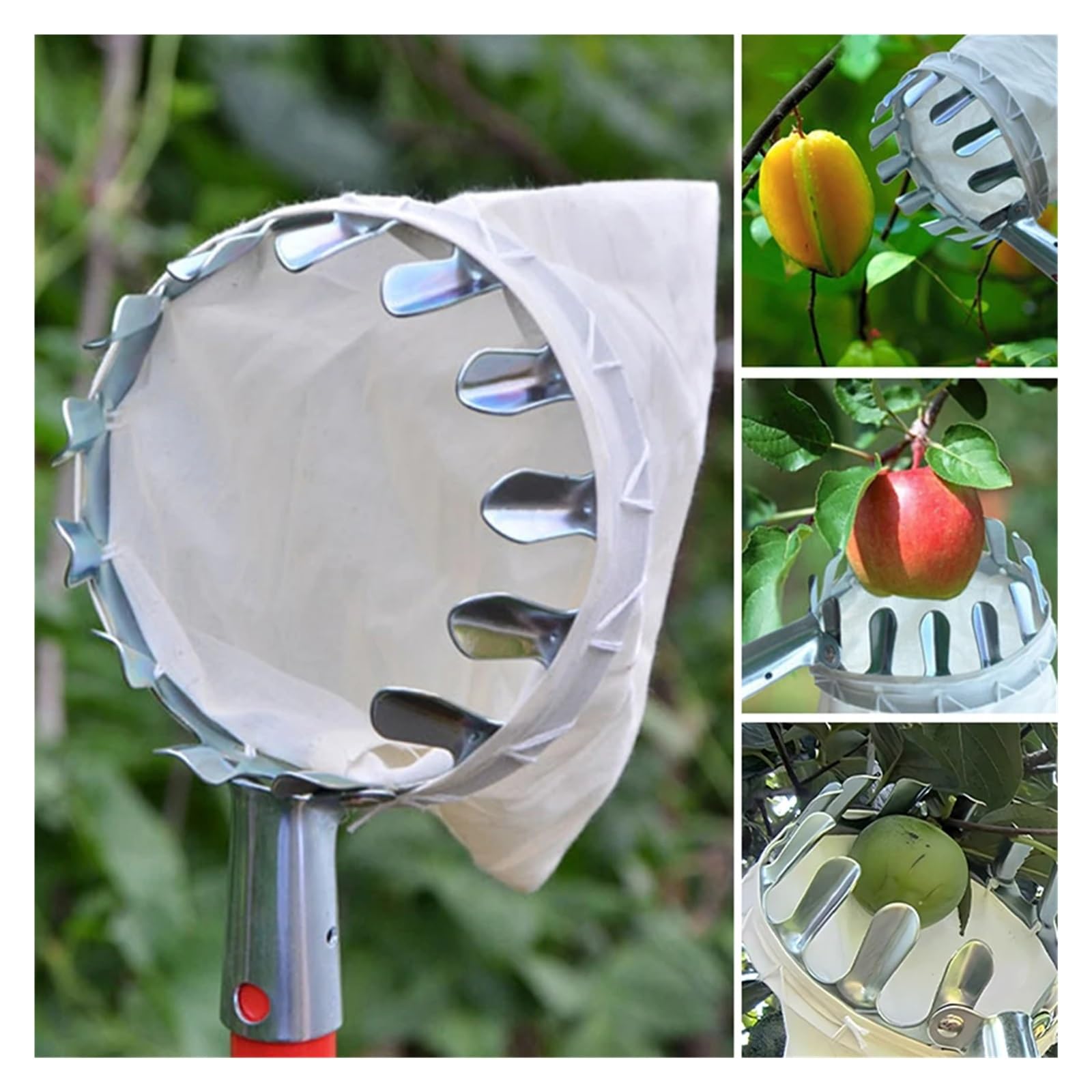 Cueilleur de Fruits Cueilleur de Fruits Ergonomique