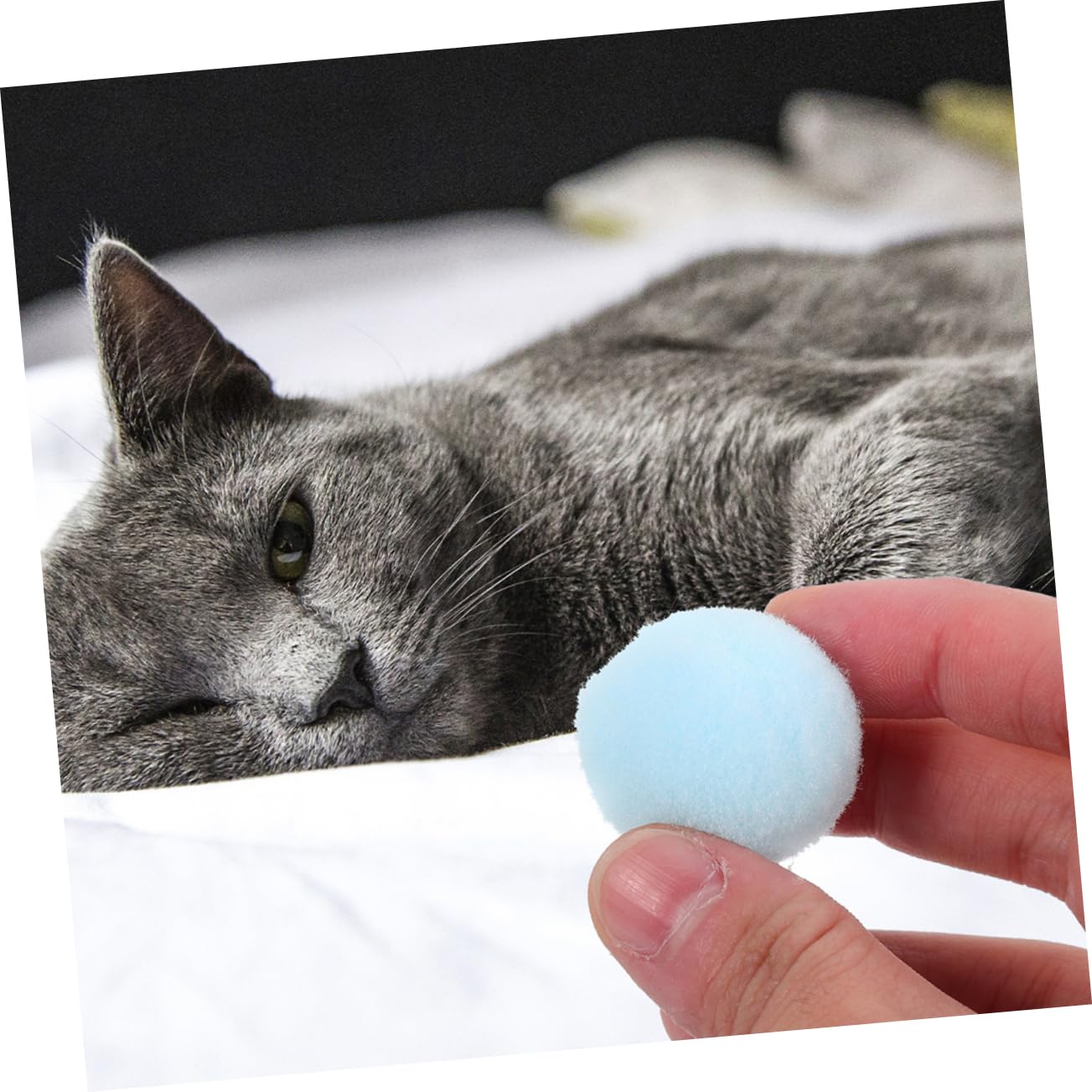 YARNOW 500 Pièces Balle Jouet pour Chat Chats d'intérieur Jouant aux balles Chasse Jouet s pour s à gratter pour d'intérieur Boules à mâcher pour Peluche