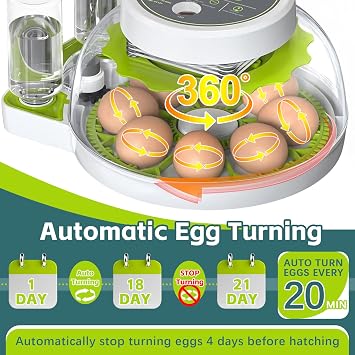Egg Incubator, Egg Incubators with Automatic Turning and Humidity Control