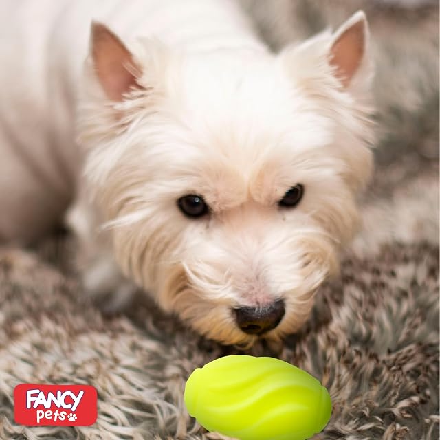 Foto 6 de 8 de FANCY PETS 4 Pelotas para Cachorros y Perros Pequeños y Medianos