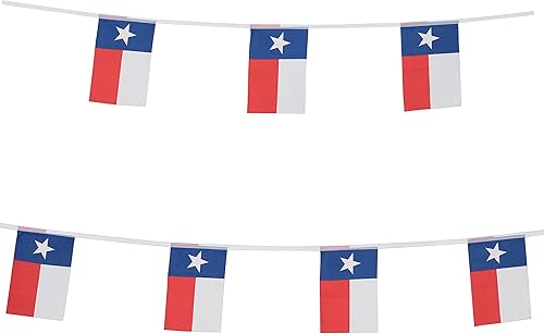 TSMD Bandera del estado de Texas, 100 pies, pequeña, de Texas, TX, banderines de estrella solitaria, suministros de decoración de fiesta para bar,