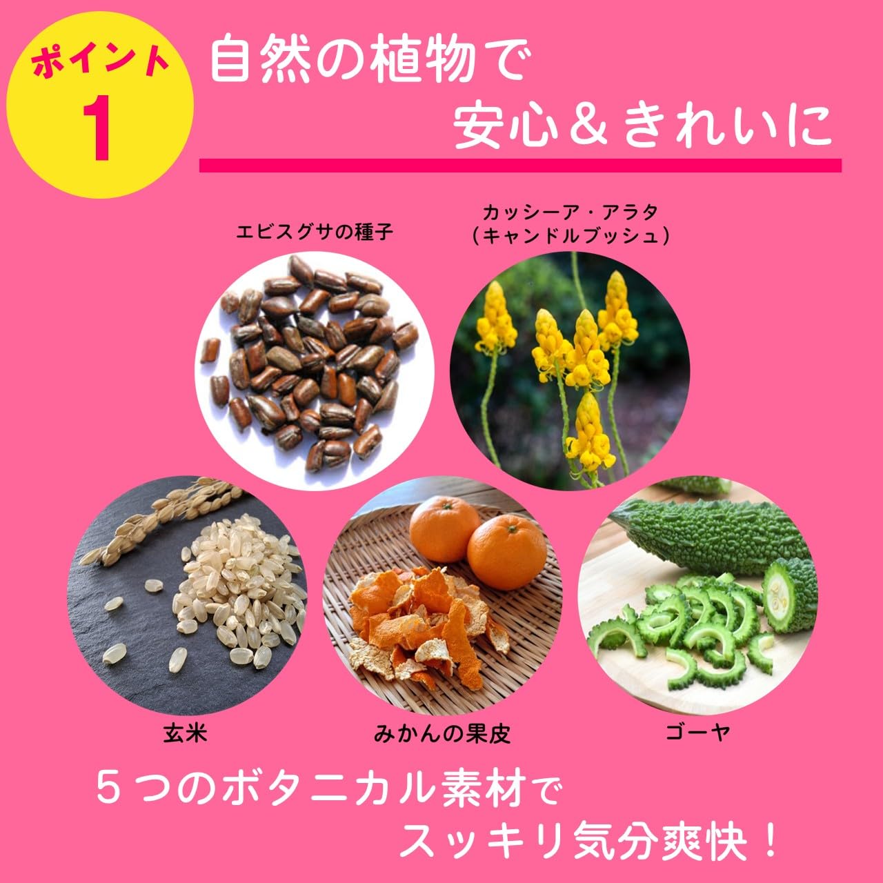 Amazon | 昭和製薬 でるでる 24包 | ダイエットサポート ノンカフェ