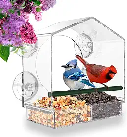 Comedouro de janela para pássaros Mrcrafts, uso externo, com ventosas fortes, serve para cardeais, pintassilgos, chapins e outros