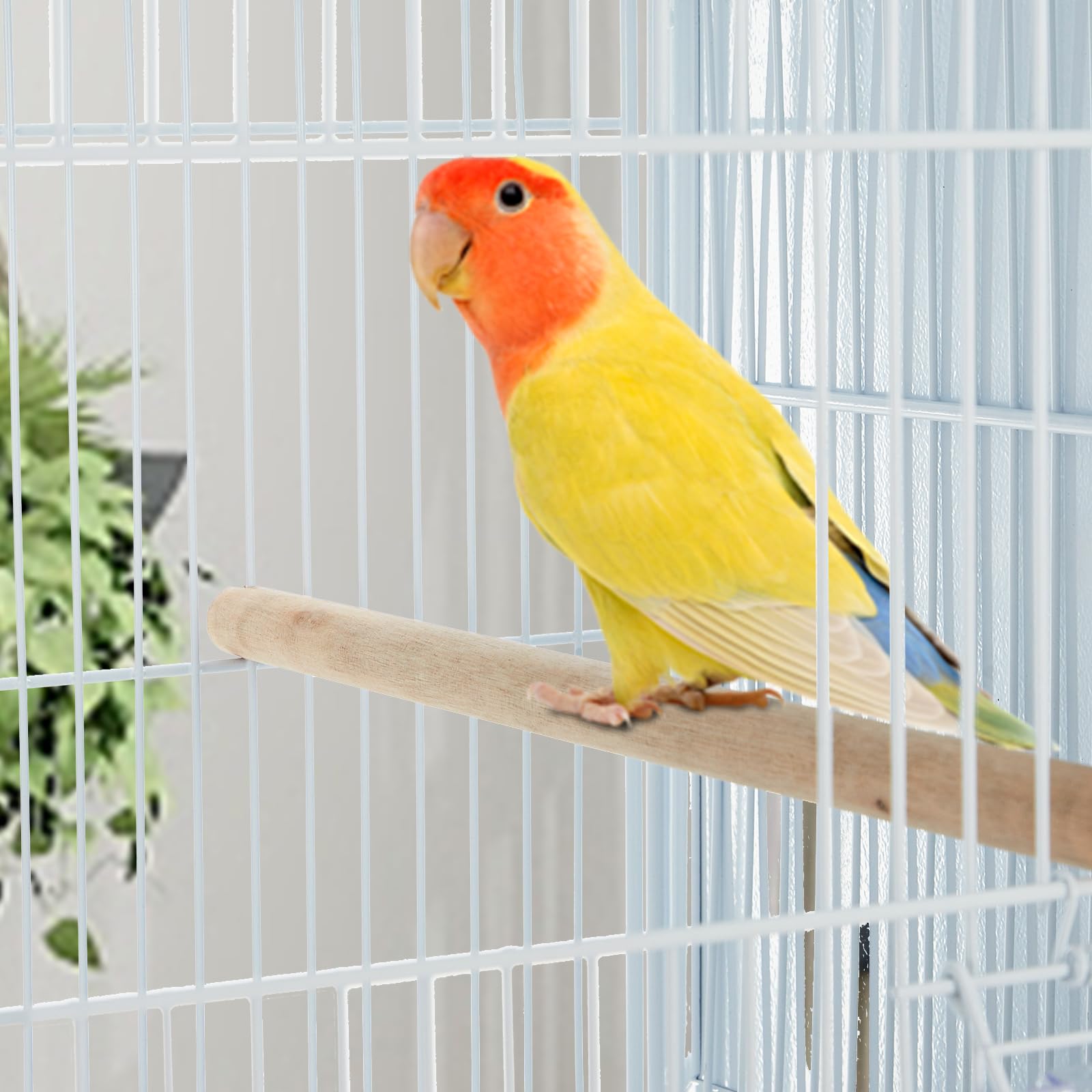 Magnifique volière pour Oiseaux – Cage Blanche en métal avec perchoirs, échelles, Plateau Amovible et roulettes – pour perroquets Moyens, perruches, inséparables, canaris – Robuste,