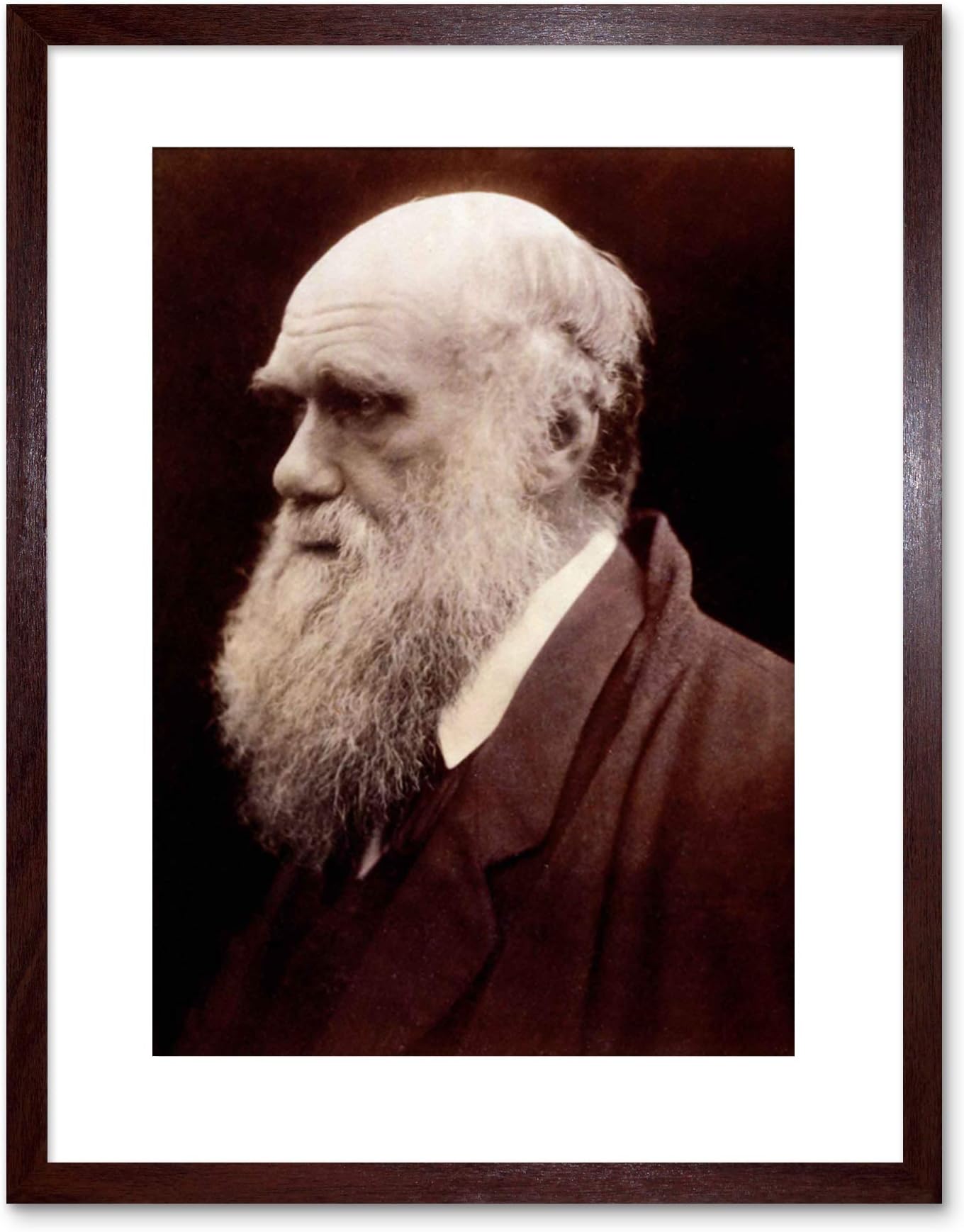 Wee Blue Coo Photo Portrait Cameron Naturalist Charles Robert Darwin Framed Art Print