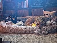 Review Image by K. Jardine K. Jardine